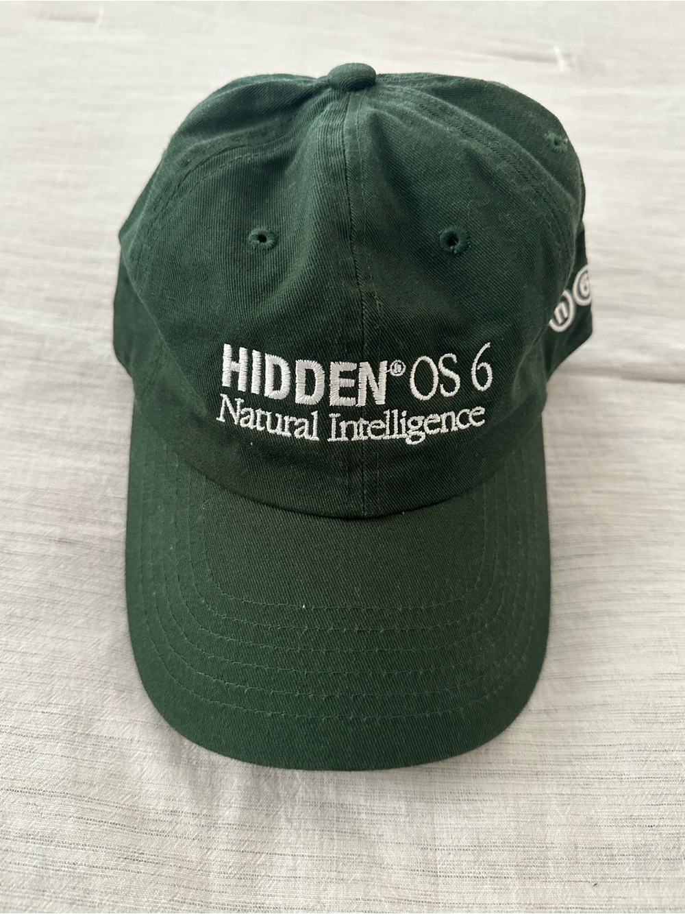 HIDDEN NY Baseball Cap - Natural Intelligence Embroidered